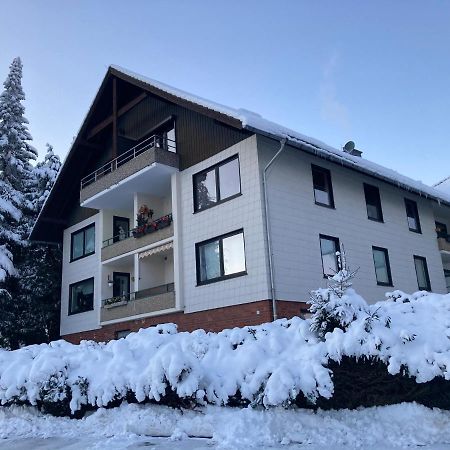 Mitten In Braunlage Mit Tollem Ausblick Eksteriør billede