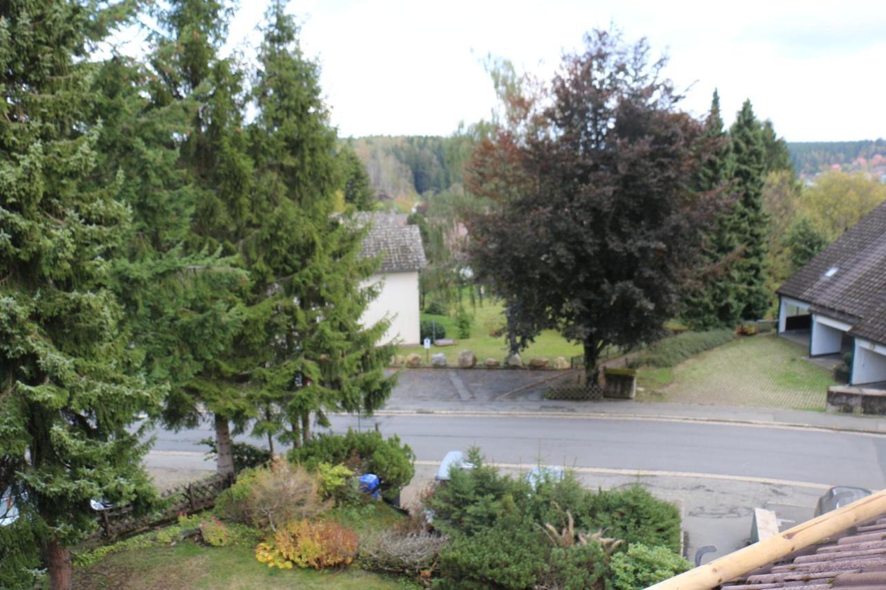 Mitten In Braunlage Mit Tollem Ausblick Eksteriør billede