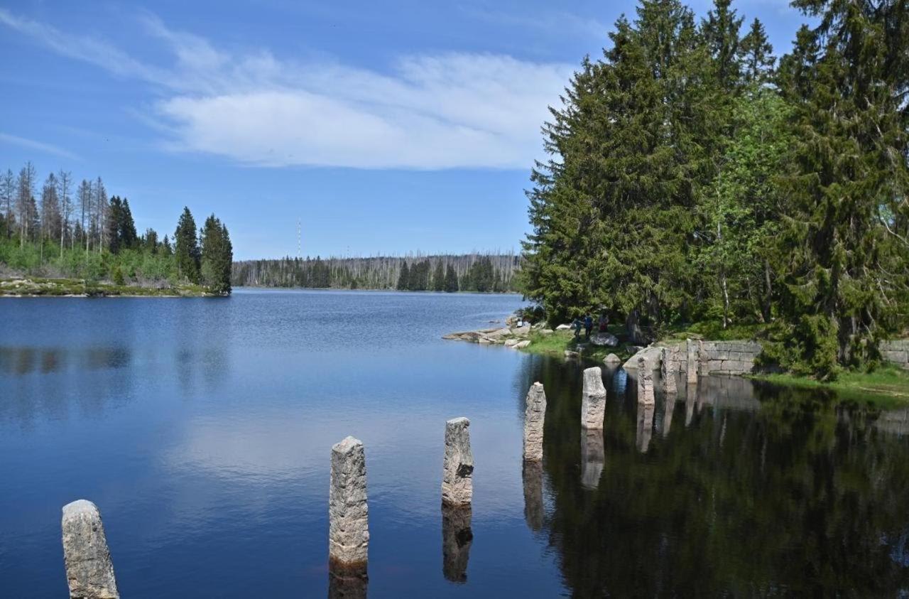 Mitten In Braunlage Mit Tollem Ausblick Eksteriør billede